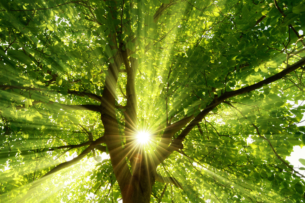Image_Umwelt_Entwicklung Image_Umwelt_Entwicklung
